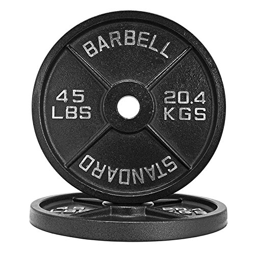 1.25lb 45lb Iron Weight Plate Pairs / Weightlifting, Powerlifting, & Other Strength Training Equipment