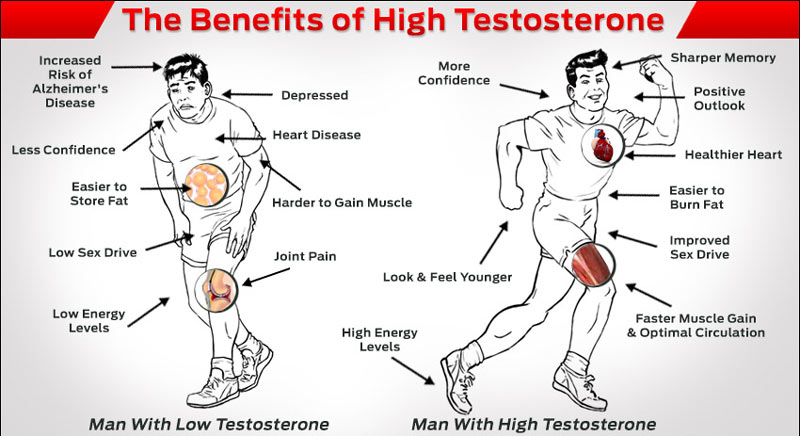 How To Naturally Increase Your Testosterone Lifestyle Updated